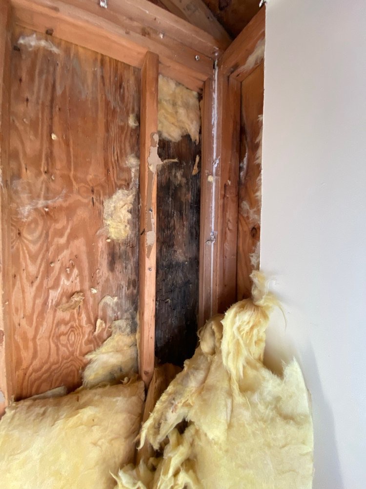 Insulation installation between wall studs